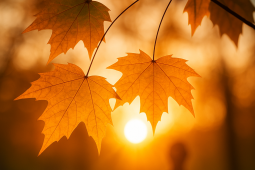 marc sourice magnétiseur conjureur Marc Sourice Magnétiseur Conjureur